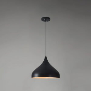 Elegant Black Teardrop Hanging Light